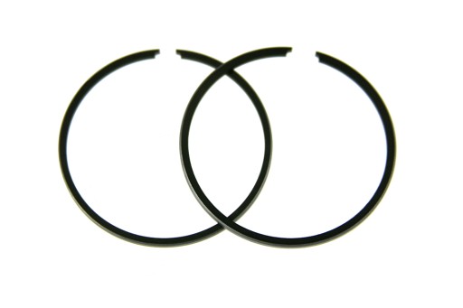 GA5059905(B) - Поршневые кольца 41,50 TGB R50X TRYTON 101r F409