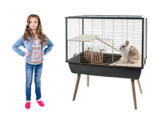 Klatka Dla Gryzonia Królika świnki Morskiej żwirek Klatka Dla Gryzonia Królika świnki Morskiej żwirek
