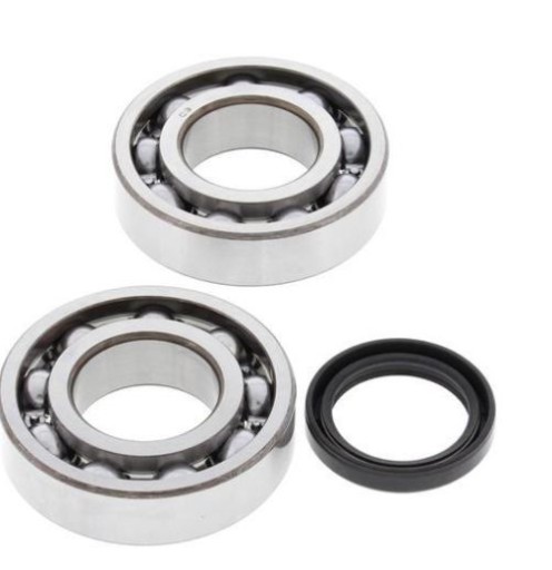 24-1074 - Подшипники коленчатого вала ALLBALLS Suzuki RMZ250 04-
