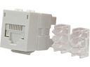 Zdjęcie oferty: Molex Moduł 1M 1x RJ45 UTP kat.6 DataGate