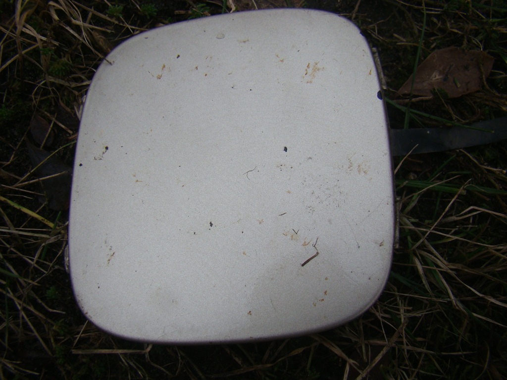 фото №1, Laguna заглушка бампера перед