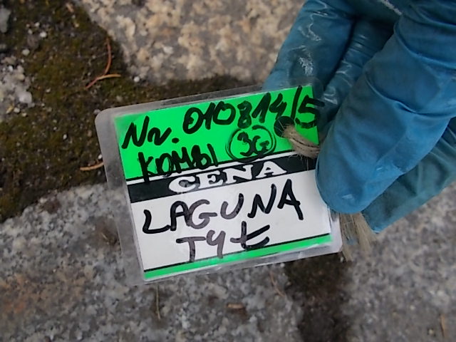 фото №6, Бампер задняя nr010814/5 kombi renault laguna mv963