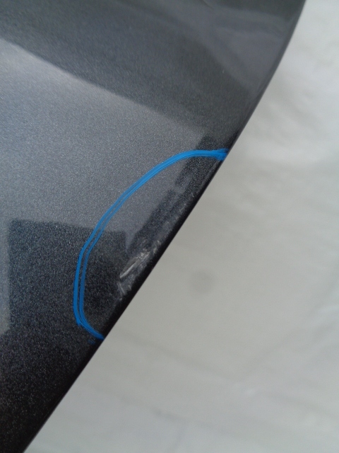 фото №5, C4 cactus двері ліва задні задні задня ktpd