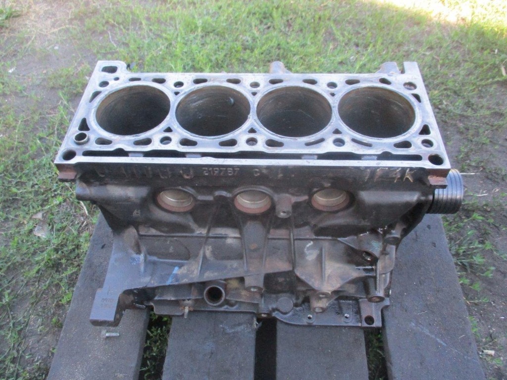 фото №1, Блок двигуна renault espace iv laguna ii 2.0 turbo