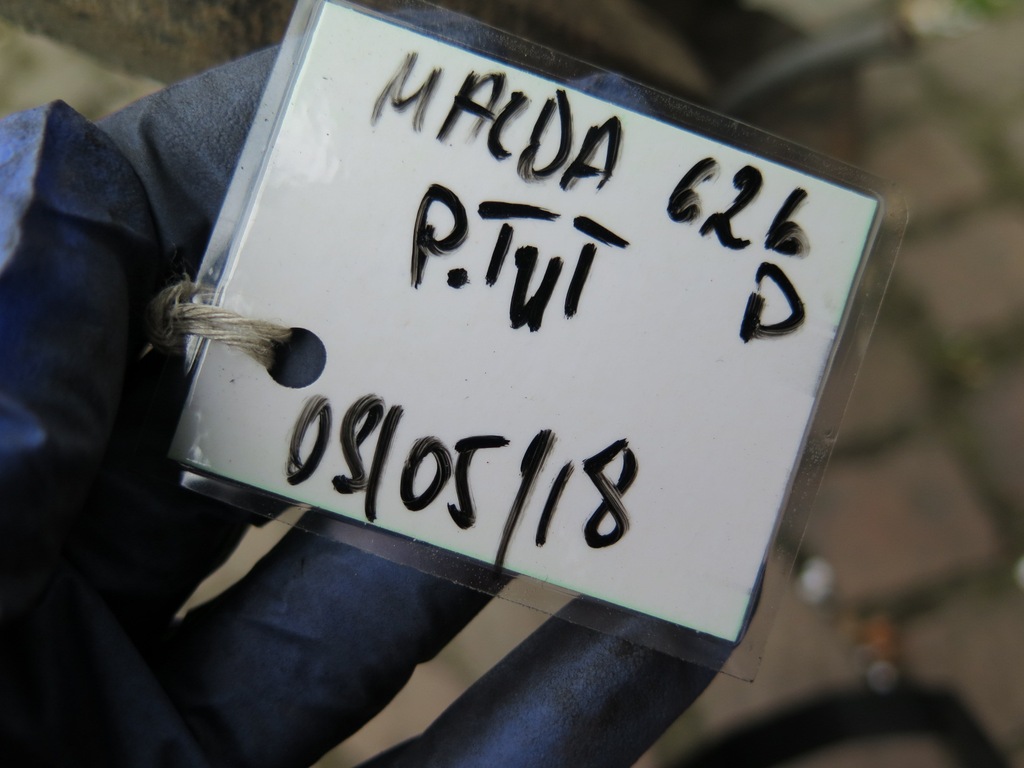 фото №6, Ступиця поворотний кулак супорт mazda 626 d права