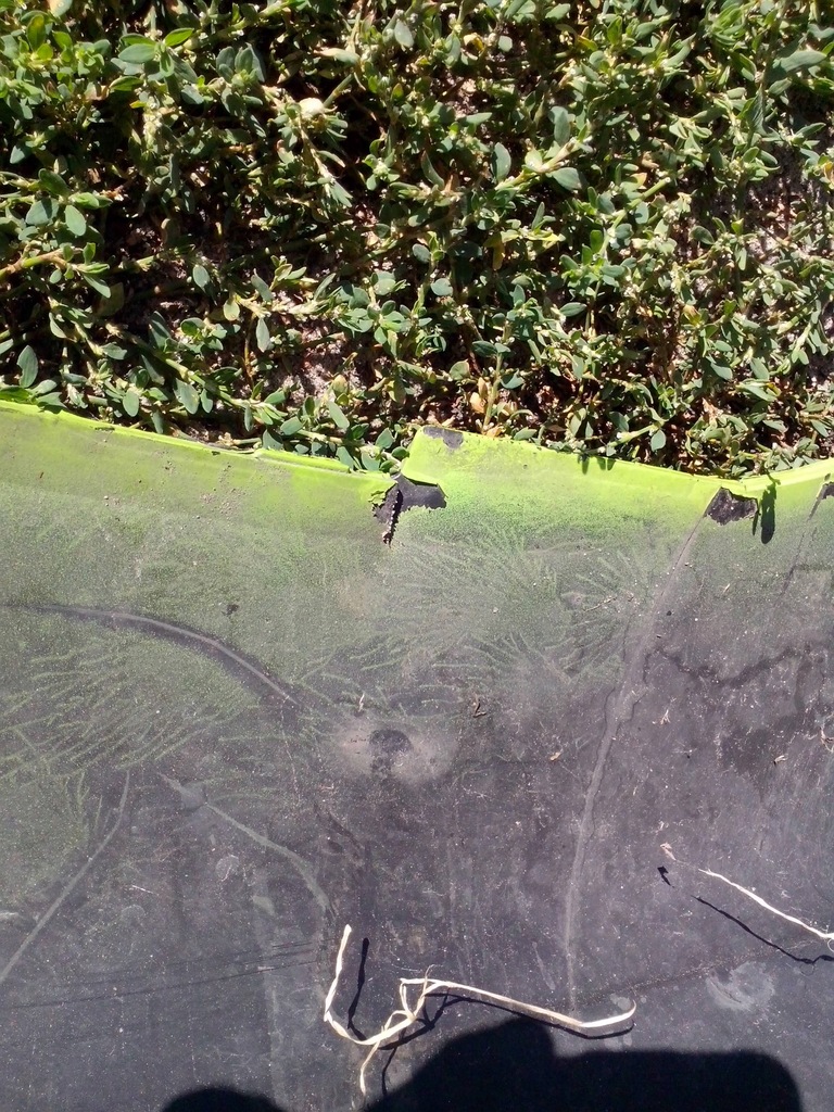 фото №7, Бампер перед renault trafic iii 14- nissan nv300