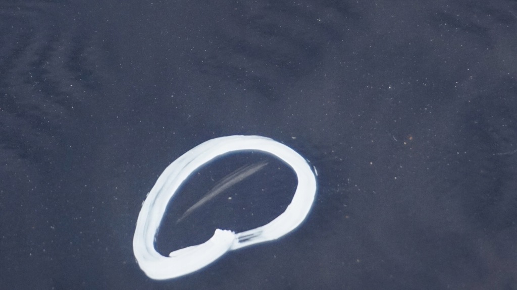 фото №11, Bmw e87 lci накладка молдинг порог левый tiefseeblau